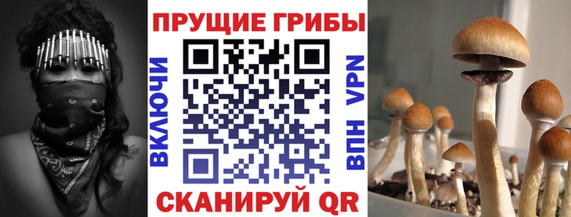 Псилоцибиновые грибы мицелий Бирск