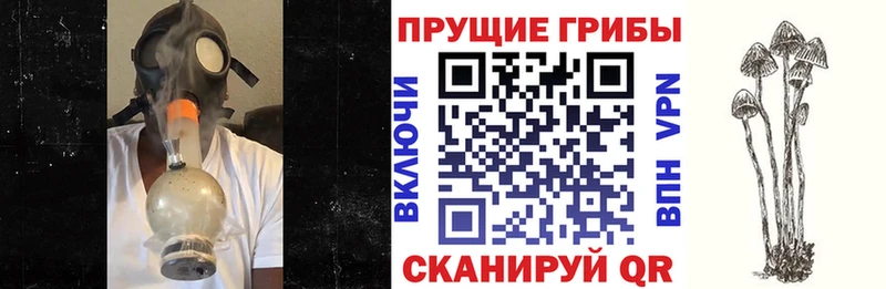 хочу наркоту  Бирск  Псилоцибиновые грибы MAGIC MUSHROOMS 