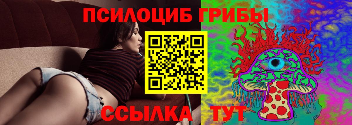 Псилоцибиновые грибы прущие грибы Бирск
